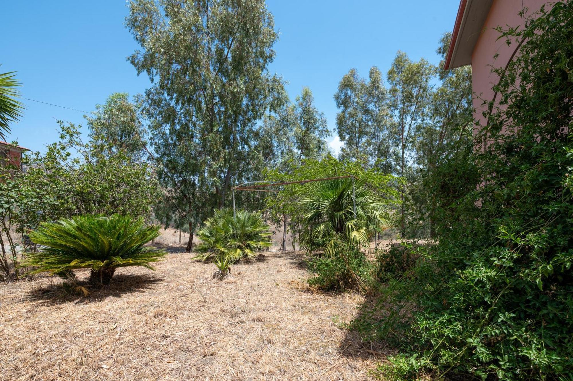 Villa Filippa Nicosia Kültér fotó